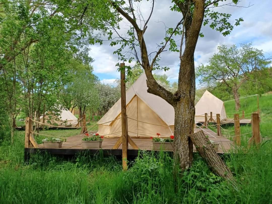 My Lake Glamping Dalnic Exterior foto