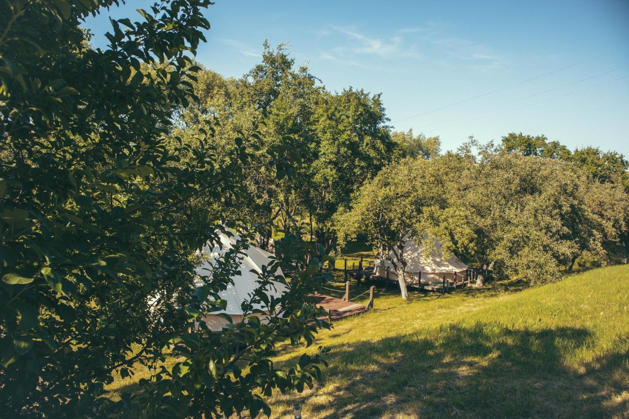 My Lake Glamping Dalnic Exterior foto